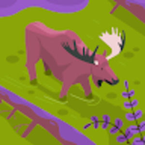 Meet your Posher, Ana